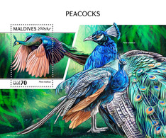 Maldives. 2018 Peacocks. (1006b) - Paons