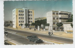 AFRIQUE - ALGERIE - ORAN - TIARET - Le Collège Moderne - Tiaret