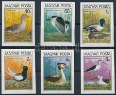 ** 1980 Madarak - Védett Vízimadarak Vágott Sor (4.500) (rozsdafoltok) - Autres & Non Classés