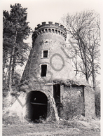 Saint-Amand MOLEN / MOULIN -Originele Foto Jaren '70 ( A.Carre) 95 - Fleurus