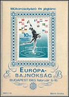 ** 1963 Műkorcsolyázó és Jégtánc EB Blokk 'kék Nyílhegy' Tévnyomattal - Autres & Non Classés