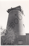 Alveringem  MOLEN / MOULIN -Originele Foto Jaren '70 ( A.Carre) 82 - Alveringem