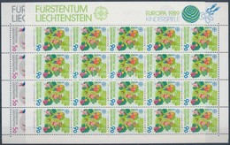 ** 1989 Europa CEPT Gyerekek Kisívsor Mi 960-961 - Autres & Non Classés