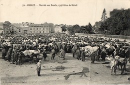 49. CPA. CHOLET. Marché Aux Boeufs, 1748 Têtes De Bétail.1914. - Ferias