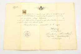 1918 Ügyvédi Vizsgabizonyítvány 50x32 Cm - Unclassified