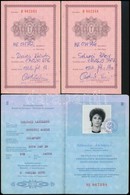 1987 Fényképes Magyar útlevél Török, Olasz, Stb. Bejegyzésekkel, 2 Gyerekre Is érvényes + Valutalap - Non Classés