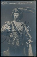 Charles Dalmores (1871-1939) Operaénekes Aláírt Fotója / Autograph Signed Photo Of Singer - Autres & Non Classés