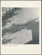 Cca 1990 Kiskunhalas, Daczi Péter 2 Db Feliratozott Vintage Fotója, 24x18 Cm - Other & Unclassified