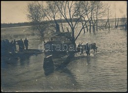 Cca 1970 Tiszai árvíz, Fotó, Hátulján Feliratozva, 13×18 Cm - Autres & Non Classés
