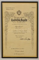 1913 Ezredorvosi Kinevezés Szárazpecséttel, üvegezett Keretben. / Regimentartzt, Military Doctor Appointment  31x48 Cm - Zonder Classificatie