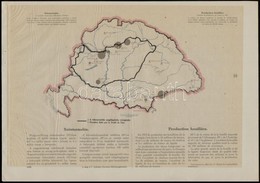 Cca 1920 10 Db Vegyes Témájú Térkép A 'Magyarország Gazdasági Térképekben' Kiadványból, Magyar és Francia Magyarázó Szöv - Autres & Non Classés