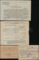 1930-1952 Balatonnal Kapcsolatos Tétel, 6 Db MÁV Menetjegy, 2 Db Balatonfüredi Adóhivatali Végzés és 1 Db értesítés, Val - Unclassified