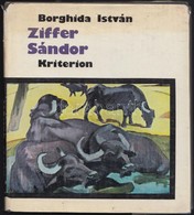 Borghida István: Ziffer Sándor. Bukarest, 1980, Kriterion. Kiadói Egészvászon-kötés, Kiadói Papír Védőborítóban, Szakadt - Non Classés