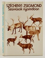 Szarvasok Nyomában és Egyéb írások. Bp., 1979, Gondolat. Fekete-fehér Fotókkal, és Rajzokkal Illusztrálva. Kiadói Egészv - Unclassified