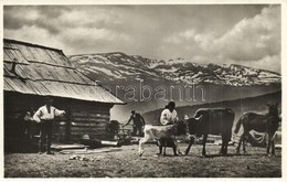 ** * 5 Db RÉGI Kárpátaljai Városképes Lap / 5 Pre-1945 Carpathian Ukraine Town-view Postcards - Zonder Classificatie