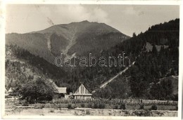 Borsabánya, Baile Borsa; Látkép - 2 Db Régi Képeslap / Genral View - 2 Pre-1945 Postcards - Non Classés