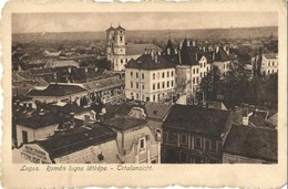 T2/T3 Lugos, Lugoj; Románlugos Látképe, Sternlicht üzlete, Templom. Nagel Sándor Kiadása / General View, Shop, Church (E - Unclassified