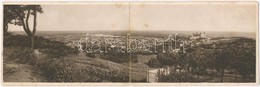 T2/T3 1923 Pozsony, Pressbrug, Bratislava; Panorámalap / Panoramacard (fl) - Non Classés