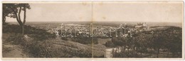 T2/T3 1923 Pozsony, Pressbrug, Bratislava; Panorámalap / Panoramacard (fl) - Unclassified