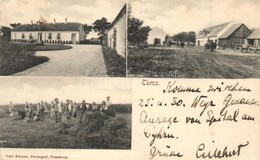 T4 1907 Torcs, Nová Lipnica (Dénesdtorcsmisérd, Dunajská Luzná); Utcakép, Aratás, Folklór, Kúria. Carl Körper Photograf  - Non Classés