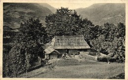 T2/T3 Kőrösmező, Jaszinya, Jasina, Yasinia; Huculská Chata / Hucul Kunyhó, Folklór. Kiadja S. Galac / Hutsul Hut (EK) - Ohne Zuordnung