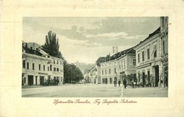 * T2/T3 Szamobor, Ljetovaliste-Samobor; Lipót Szalvátor Tér, Szálloda és Vendéglő. W. L. Bp. 3918.  / Trg. Leopolda Salv - Non Classés