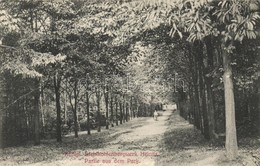 T3/T4 Heinitz, Königliche Steinkohlenbergwerk, Partie Aus Dem Park / Royal Coal Mine, Park Detail (fa) - Sin Clasificación