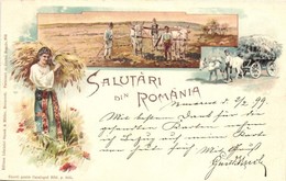 T2 1899 Salutari Din Romania, Greetings From Romania! Folklore, Ox Cart, Farmers Ploughing. Storck & Müller 950. Art Nou - Zonder Classificatie