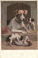 T3 Dogs, T.S.N. Serie 1544. S: Carl Reichert (fa) - Non Classés