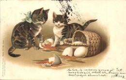 T2 1899 Cats, Art Postcard, Lith. Artist Anstalt München Serie 50. No. 18409. Litho - Zonder Classificatie