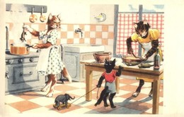 T2/T3 Cooking Cats, Humorous Art Postcard, AD 3026. (EK) - Sin Clasificación