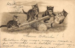 T2/T3 1900 Cats On Teeter, E. S. D. B. Serie 7047. Litho Emb. (EK) - Ohne Zuordnung