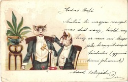 T2/T3 Gentleman Cats, Litho (EK) - Ohne Zuordnung