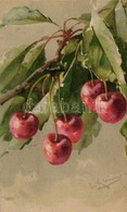 T2 Cseresznye, Csendélet / Fruit Still Life, Cherry, Litho S: C. Klein - Unclassified