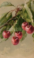 T2 Cseresznye, Csendélet / Fruit Still Life, Cherry, Litho S: C. Klein - Zonder Classificatie