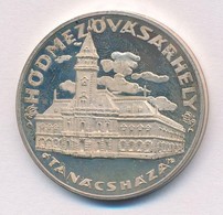 Csúcs Viktória (1934-1993) DN 'Hódmezővásárhely Tanácsháza' Ag Emlékérem  (16g/0.925/32mm) T:1,1- (eredetileg PP) - Non Classés