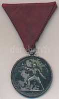 1914. 'I. Díj 1914' Jelzett? Ag Vívó Díjérem, Mellszalagon (~21,4g/36mm) T:2,2- Patina - Non Classés