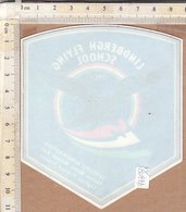 PO8092D# ADESIVO STICKER AVIAZIONE - LINDBERGH FLYING SCHOOL - ISTITUTO AERONAUTICO - Pegatinas