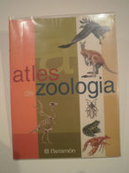 Atles De Zoologia. Parramón Ediciones. 1a Edició 2001. 96 Pàgines. Il·lustrat. Autors: José Tola I Eva Infiesta. - Pratique