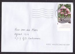 Netherlands: Cover, 2018, 1 Stamp + Tab, Mushroom, Fungus (traces Of Use) - Storia Postale