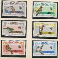 Macau Portugal China Chine 1984 - Aves Regionais - Internat Stamp Exhibition Ausipex 84 Birds - Set Complete - MNH/Neuf - Unused Stamps