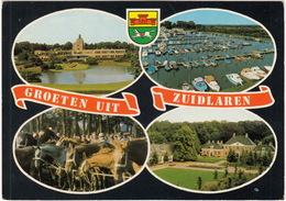 Zuidlaren - Paardenmarkt, Dennenoord, Jachthaven, DAF 55 - (Drenthe,Holland/Nederland) - Zuidlaren