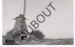 Balegem MOLEN / MOULIN -Originele Foto Jaren '70 ( A.Carre) A9 - Oosterzele