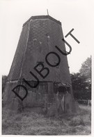 Balen MOLEN / MOULIN -Originele Foto Jaren '70 ( A.Carre) A25 - Balen