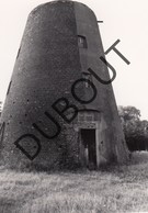 Lommel MOLEN / MOULIN -Originele Foto Jaren '70 ( A.Carre) A26 - Lommel