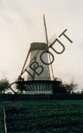 Oordegem MOLEN / MOULIN Kleurenfoto 1996 A2 - Lede