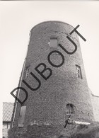 Maldegem MOLEN / MOULIN -Originele Foto Jaren '70 ( A.Carre) A44 - Maldegem