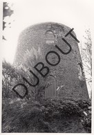 Maldegem MOLEN / MOULIN -Originele Foto Jaren '70 ( A.Carre) A45 - Maldegem