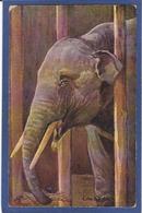 CPA éléphant Oilette écrite - Elefanti