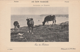 AU BON MARCHE  - Paysage De France - Sur Les Falaises - Vaches - 1ère Série - Reclame